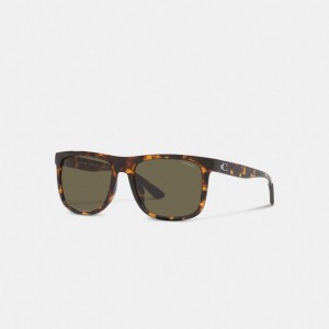 Men Coach Beveled Signature Flat Top Square Sunglasses Brown | PH_CH67342