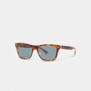 Men Coach Beveled Signature Square Sunglasses Blue | PH_CH98358