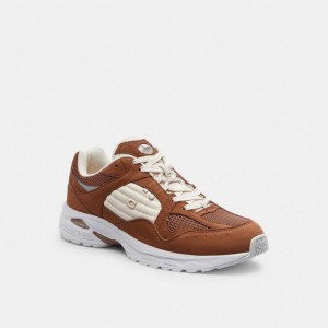 Men Coach C301 Sneakers Brown | PH_CH48761
