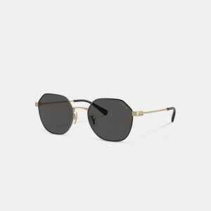 Men Coach Hinged Geometric Round Sunglasses Gold Black | PH_CH65304