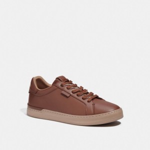 Men Coach Lowline Low Top Sneakers Brown | PH_CH57403