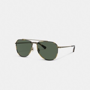 Men Coach Metal Windsor Pilot Sunglasses Gold | PH_CH94401