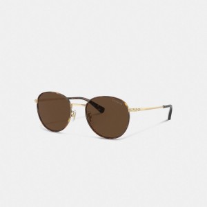 Men Coach Metal Windsor Round Sunglasses Brown / Gold | PH_CH47086