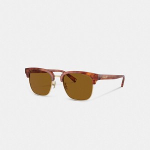 Men Coach Retro Sunglasses Brown | PH_CH61053