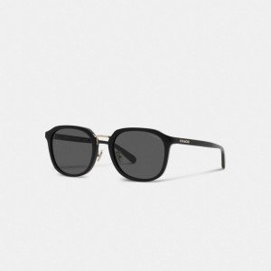 Men Coach Rounded Geometric Sunglasses Black | PH_CH75613