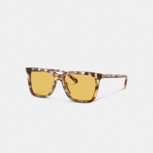 Men Coach Signature Square Honey Sunglasses Orange | PH_CH51608
