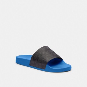 Men Coach Slideberry Sandals Blue | PH_CH29914