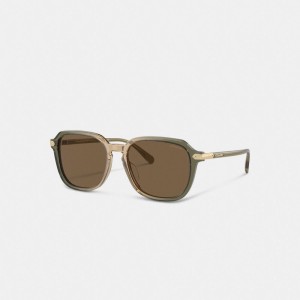 Men Coach Wrap Around Hangtag Keyhole Sunglasses Green / Brown | PH_CH15100