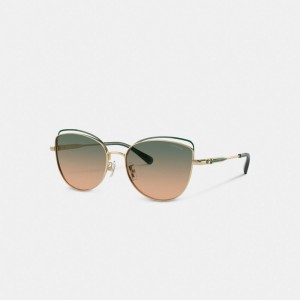 Women Coach Bandit Wire Oval Gradient Sunglasses Green Yellow | PH_CH59575
