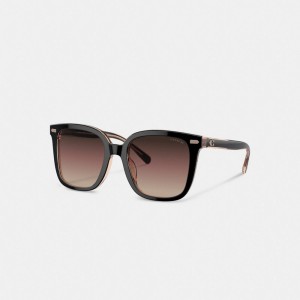 Women Coach Beveled Signature Oversized Square Sunglasses Black / Pink | PH_CH43500