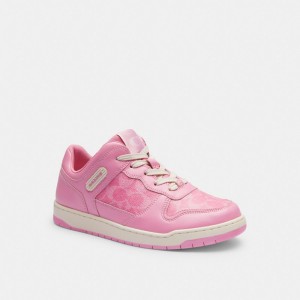 Women Coach C201 Low Top In Signature Canvas Vivid Sneakers Pink | PH_CH47881