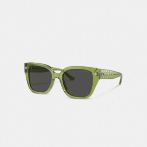 Women Coach Charms Oversized Square Sunglasses Green | PH_CH54543