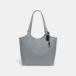 Women Coach Day Tote Bag SGrey Blue | PH_CH81124