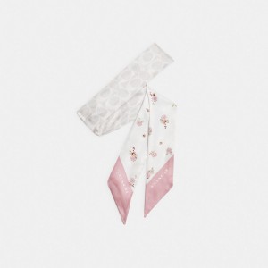 Women Coach Floral Print Silk Skinny Chalk Scarf Multicolor | PH_CH79561