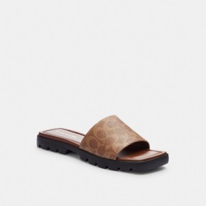 Women Coach Florence In Signature Sandals Khaki / Dark | PH_CH90218