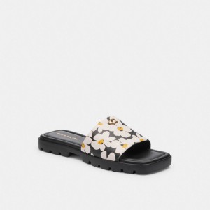 Women Coach Florence With Floral Print Chalk Sandals Multicolor | PH_CH80268
