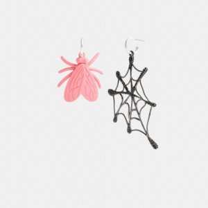 Women Coach Fly Web Mismatch Earrings Multicolor | PH_CH54399