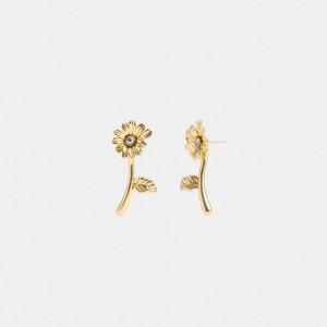 Women Coach Garden Flower Stem Stud Earrings Gold | PH_CH90997