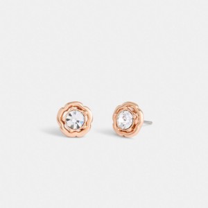 Women Coach Halo Tea Stud Earrings Rose Gold | PH_CH92182