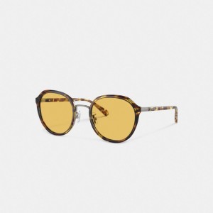 Women Coach Hangtag Geometric Round Honey Sunglasses Orange | PH_CH53601