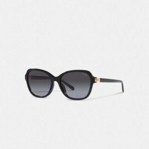 Women Coach Hinged Horse And Carriage Square Sunglasses Black | PH_CH37042