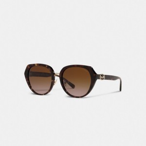 Women Coach Horse And Carriage Oversized Round Sunglasses Black | PH_CH42689