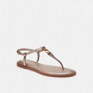 Women Coach Jessica Champagne Sandals Brown | PH_CH45955