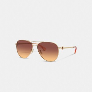 Women Coach Metal Aviator Sunglasses Dark Brown | PH_CH94664