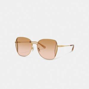Women Coach Oversized Butterfly Peach Blush Sunglasses Coral Pink | PH_CH70465