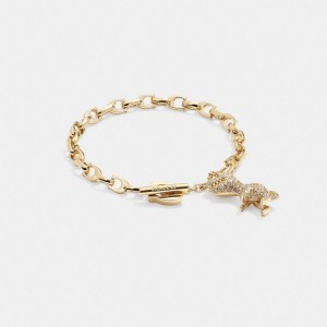 Women Coach Pavé Rexy Signature Chain Bracelets Gold | PH_CH46323