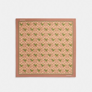 Women Coach Rexy Print Silk Bandana Hats Khaki | PH_CH60482