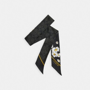 Women Coach Signature Daisy Cluster Print Silk Skinny Scarf Black | PH_CH86385