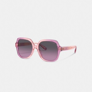 Women Coach Signature Ombré Oversized Square Sunglasses Pink Purple | PH_CH28631