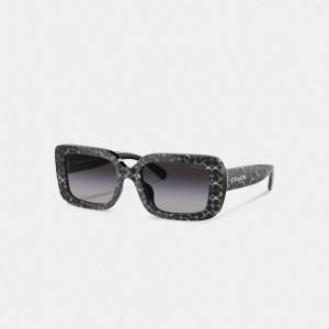 Women Coach Signature Oversized Rectangle Pearlized Signature Sunglasses Silver | PH_CH47874