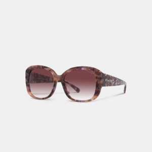 Women Coach Signature Oversized Square Sunglasses Purple | PH_CH52153