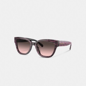 Women Coach Signature Round Ruby Pearlized Signature Sunglasses Brown | PH_CH67044