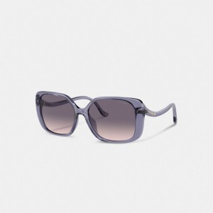Women Coach Swoop Temple Rectangle Transparent Sunglasses Purple | PH_CH83373