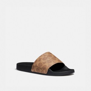 Women Coach Udele Sport In Signature Sandals Brown | PH_CH53025